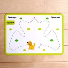 Набор напиши и сотри «Межполушарное развитие», в пакете - фото 24238119