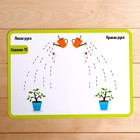 Набор напиши и сотри «Межполушарное развитие», в пакете - фото 24238121