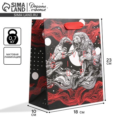 Пакет подарочный ламинированный, упаковка, «Геркулес», MS 18×23×10 см