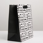 Пакет подарочный ламинированный вертикальный, упаковка, «С характером», MS 18 х 23 х 10 см - Фото 2