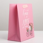 Пакет подарочный ламинированный вертикальный, упаковка, «Have a nice day», MS 18 х 23 х 10 см 7164762 - фото 13503496