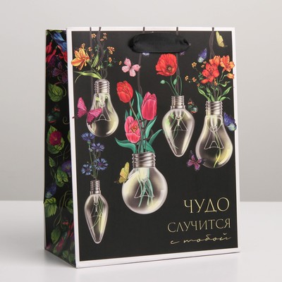 Пакет подарочный ламинированный, упаковка, «Чудо», MS 18 х 23 х 10 см