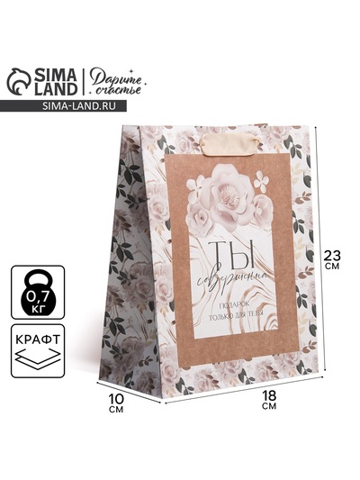 Пакет подарочный крафтовый, упаковка, «Подарок для тебя», MS 18×23×8 см