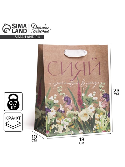 Пакет подарочный крафтовый, упаковка, «Сияй», MS 18×23×8 см