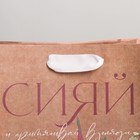Пакет подарочный крафтовый вертикальный, упаковка, «Сияй», MS 18 х 23 х 8 см - Фото 3