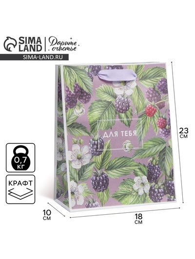 Пакет подарочный крафтовый, упаковка, «Для тебя», MS 18×23×8 см