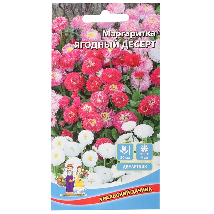 Маргаритки Семена Купить