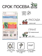 Семена огурец «Мини-мини F1», 8 шт. - Фото 2