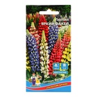 Семена цветов Люпин "Яркий Факел", 10 шт. - Фото 1