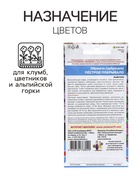 Семена цветов Обриета "Пестрое Покрывало", 0,1 г (комплект 2 шт) - фото 33770821
