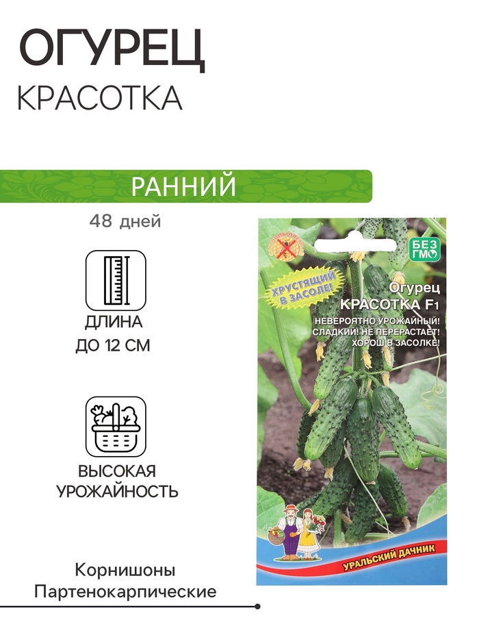 Семена огурец «Красотка F1», 10 шт. - Фото 1