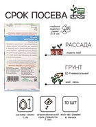 Семена огурец «Красотка F1», 10 шт. - Фото 2