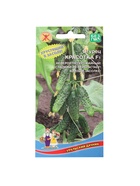 Семена огурец «Красотка F1», 10 шт. - Фото 5