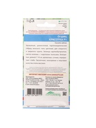 Семена огурец «Красотка F1», 10 шт. - Фото 6