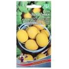 Семена дыня «Апельсинка», 10 шт. - Фото 1