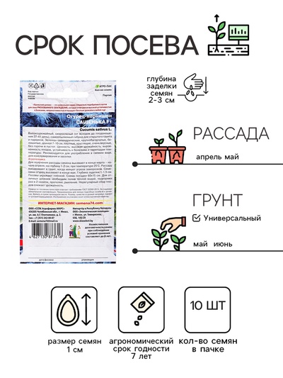 Семена Огурец "Сашенька", корнишон, F1, 10 шт
