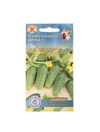 Семена огурца "Димка", F1, 10 шт. - Фото 5