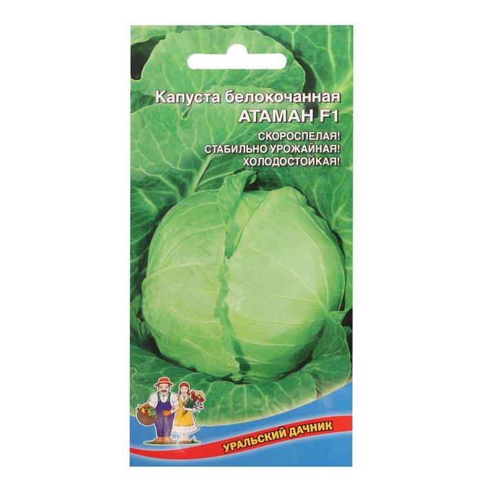 Семена Капуста белокочанная "Атаман", F1, 0,1 г - Фото 1