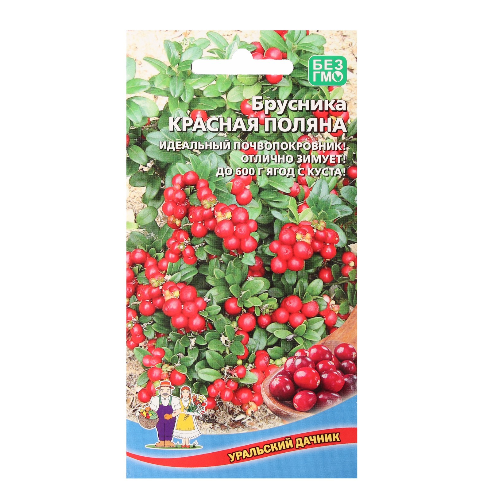Семена Брусника "Красная поляна", 20 шт (7584892) - Купить по цене от ...