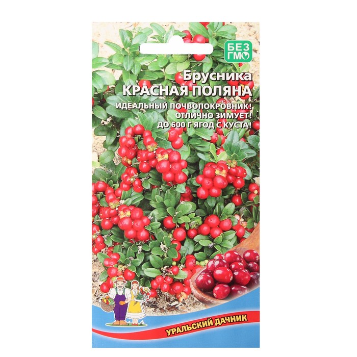Семена Брусника "Красная поляна", 20 шт - Фото 1