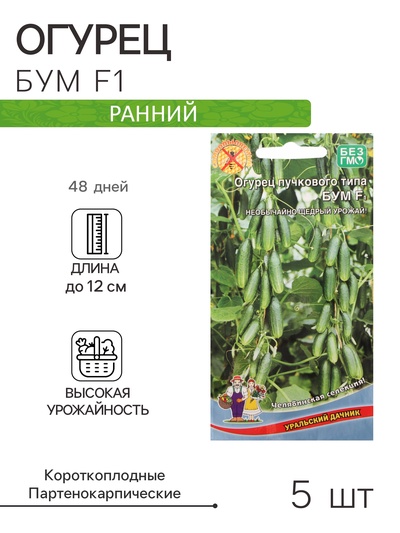Семена огурца «Бум F1», 5 шт., «Уральский Дачник»