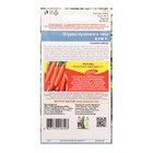 Семена огурца «Бум F1», 5 шт. - Фото 2