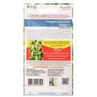 Семена огурца "Боец", F1, 10 шт. - Фото 2