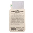 Семена огурца "Дружная компания", F1, 10 шт. - Фото 2