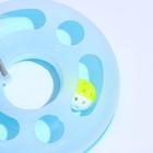 Игровой комплекс "Загадочный круг" с дразнилкой и шариком, 25 х 25 х 20 см, голубой 7087268 - фото 16126909