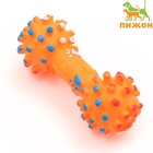 Игрушка пищащая увеличенная "Гантель с лапками" для собак, 16,5 x 6 см, оранжевая - фото 318746872