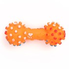 Игрушка пищащая увеличенная "Гантель с лапками" для собак, 16,5 x 6 см, оранжевая - фото 6524253