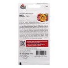 Семена Гацания «Муза», ц/п, крупноцветковая, смесь, для балкона, веранды, цветника, однолетник, низкорослая0.05 г - Фото 4