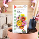 Семена Гацания «Муза», ц/п, крупноцветковая, смесь, для балкона, веранды, цветника, однолетник, низкорослая0.05 г - Фото 1