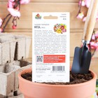 Семена Гацания «Муза», ц/п, крупноцветковая, смесь, для балкона, веранды, цветника, однолетник, низкорослая0.05 г - Фото 2