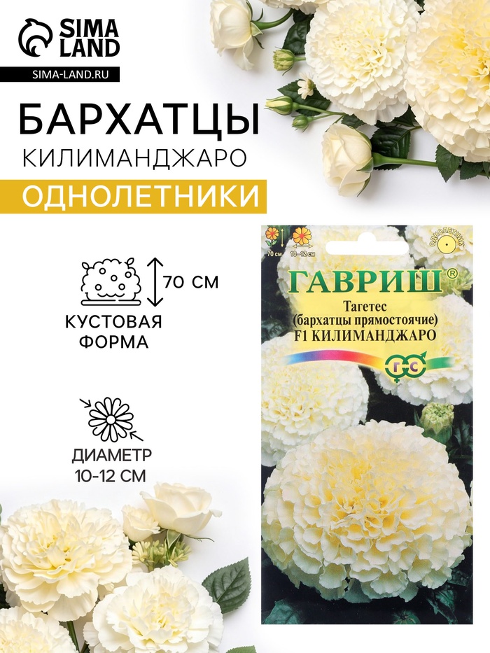 Семена цветов Тагетес, бархатцы прямые «Килиманджаро», F1, 0.05 г, «Гавриш» - Фото 1