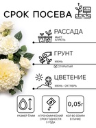 Семена цветов Тагетес, бархатцы прямые «Килиманджаро», F1, 0.05 г, «Гавриш» - Фото 2