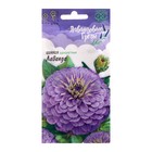 Семена цветов Цинния Лаванда "Лавандовые грёзы", ц/п, 0,5 г - Фото 1