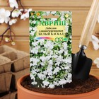 Семена цветов Лобелия ампельная "Белый каскад", ц/п, 0,01 г - Фото 3