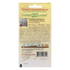 Семена цветов Цинерария приморская "Серебряная пыль", ц/п, 0,05 г - Фото 2