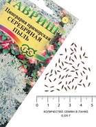 Семена цветов Цинерария приморская «Серебряная пыль» 0.05 г - Фото 4