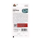 Семена Цинерария приморская "Андромеда", ц/п, 0,05 г - Фото 2