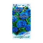 Семена цветов Василек "Лагуна", ц/п, 0,2 г - Фото 1