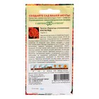 Семена цветов Бархатцы отклоненные "Русти Ред", ц/п, 0,3 г - Фото 2