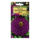 Семена цветов Цинния "Фиолетовая фея", 0,3 г - фото 320658429