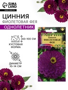 Семена цветов Цинния «Фиолетовая фея» 0.3 г - Фото 1
