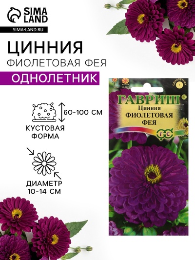 Семена цветов Цинния «Фиолетовая фея» 0.3 г