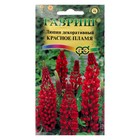 Семена цветов Люпин "Красное пламя", ц/п, 0,5 г - Фото 1