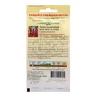 Семена цветов Люпин "Красное пламя", ц/п, 0,5 г - Фото 2