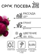 Семена цветов Астра игольчато-коготковая «Джувел Аметист», однолетняя, 0.05 г, «Гавриш» - Фото 2