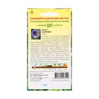 Семена цветов Кобея "Каландо", ц/п, 5 шт. - Фото 2